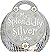 My Splendidly Silver Purse