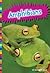 Amphibians (Animal Kingdom)