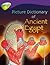 Picture Dictionary of Ancient Egypt (Oxford Reading Tree: Level 11: Treetops Non-Fiction)