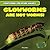 Glowworms Are Not Worms!