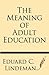 The Meaning of Adult Education