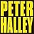 Peter Halley: Since 2000