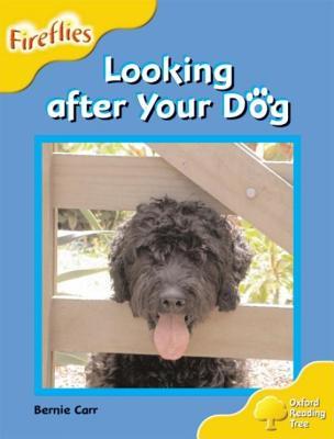 Oxford Reading Tree: Stage 5: Fireflies: Looking After Your Dog