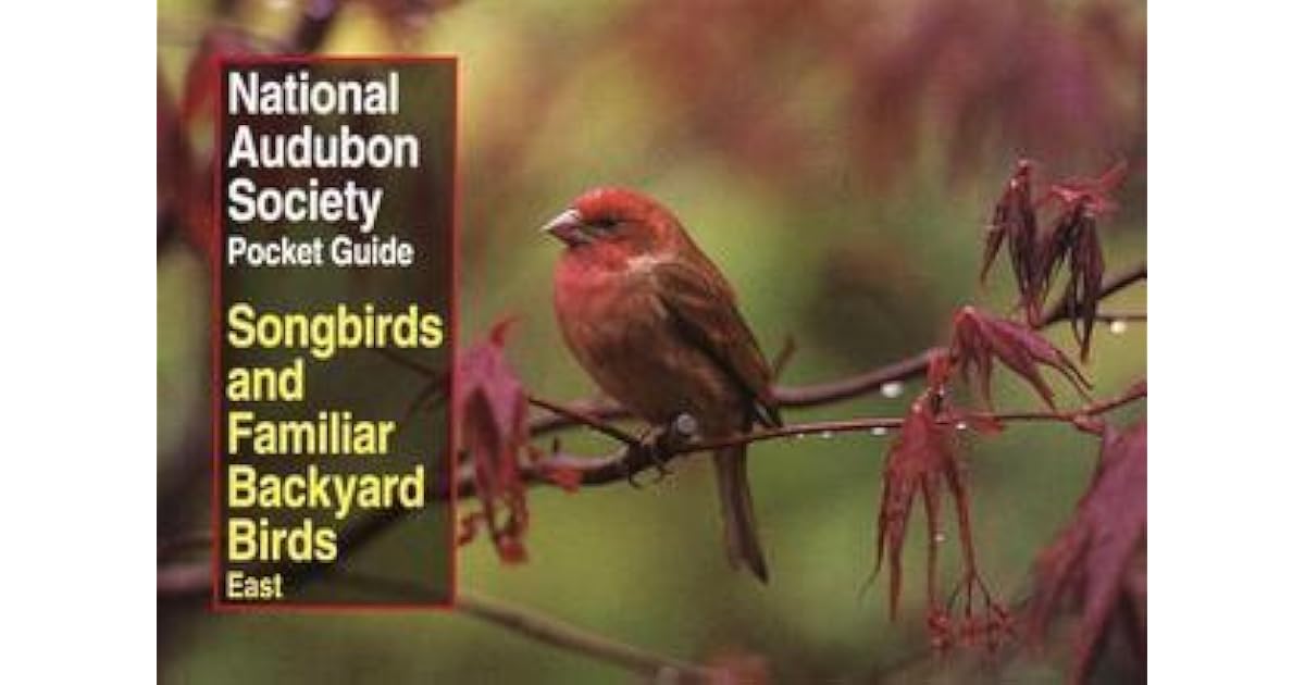 National Audubon Society Pocket Guide Songbirds and Familiar Backyard