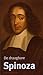 De draagbare Spinoza