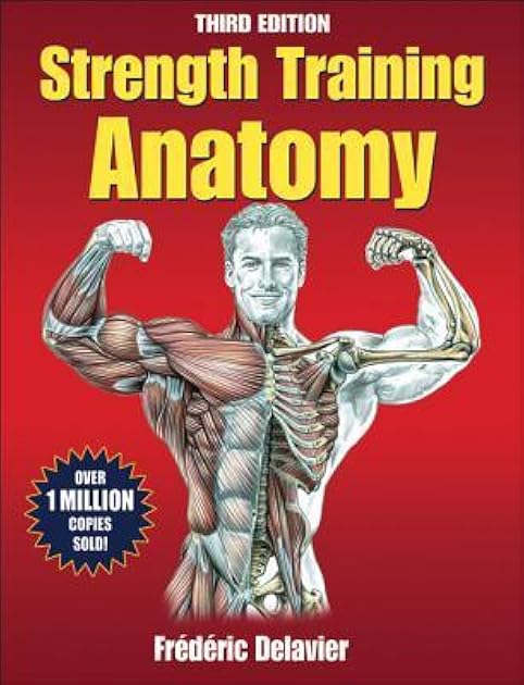 Strength Training Anatomy