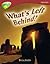 What's Left Behind?