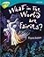What in the World Are Fairies? (Oxford Reading Tree: Level 9: Treetops Non-Fiction)