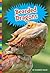 Bearded Dragons (Lizards)
