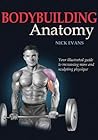 Bodybuilding Anatomy