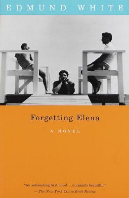 Forgetting Elena (Paperback)