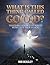 What Is This Thing Called Go(O)D? by Rob Beasley