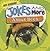 Jokes and More About Bees (Just Kidding!)