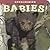 Appalachian Babies