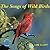 The Songs of Wild Birds