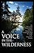 A Voice in the Wilderness by Ed Moloney