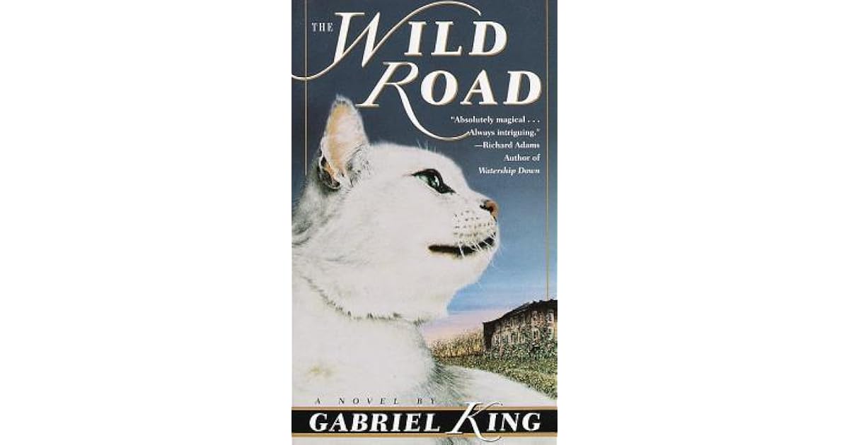 The Wild Road The Wild Road 1 By Gabriel King