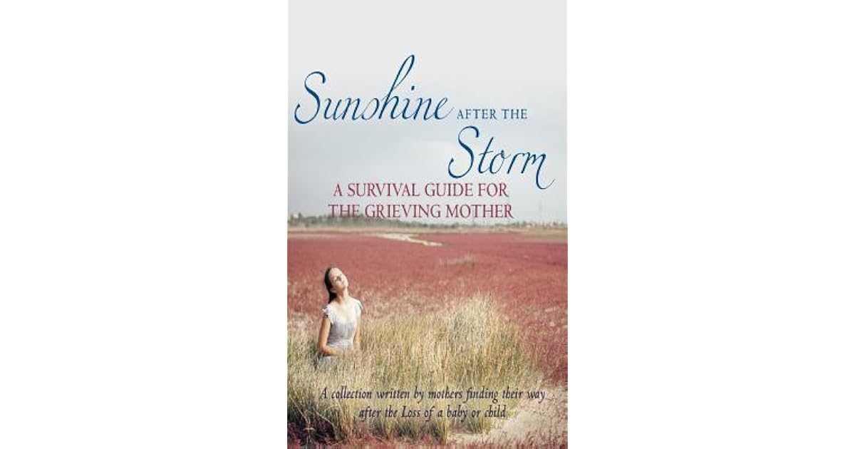 Sunshine After the Storm A Survival Guide for the Grieving