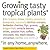 Growing Tasty Tropical Plants in Any Home, Anywhere: (like lemons, limes, citrons, grapefruit, kumquats, sunquats, tahitian oranges, barbados cherries, ... black pepper, cinnamon, vanilla, and more)