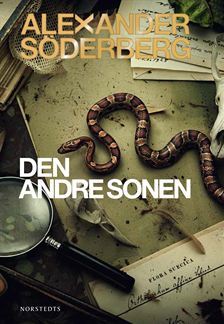 Den andre sonen (Sophie Brinkmann, #2)