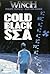 Cold Black Sea (Largo Winch)