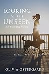 Looking at the Unseen: My Guide Dog Journey