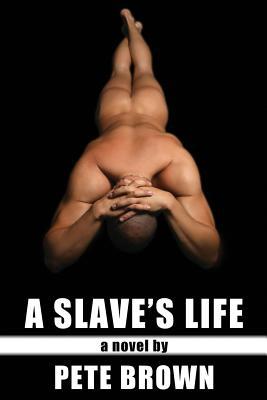 A Slave's Life (Paperback)