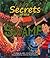 Secrets of the Swamp