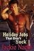 Holiday Jobs That Don't Suck 1 (Holiday Jobs that Don't Suck, #1-7)