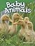 Baby Animals