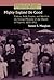 Mighty England Do Good: Culture, Faith, Empire and World in the Foreign Missions of the Church of England, 1850-1915 (Studies in the History of Christian Missions)