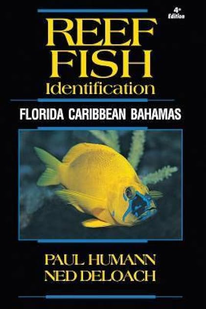 Reef Fish Identification: Florida Caribbean Bahamas