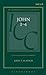John 1-4: A Critical and Exegetical Commentary (International Critical Commentary)