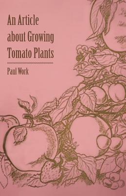 An Article about Growing Tomato Plants