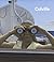 Colville Catalogue of the A...