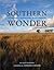 Southern Wonder by R. Scot Duncan Southern Wonder by R. Scot Duncan