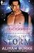 Chasing the Storm (Astral Guardians)