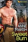 Sweet Burn by Anne Marsh
