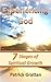 Befriending God: The 7 Essential Truths for Divine Intimacy [Study Guide]