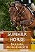 Summer Horse