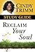 Reclaim Your Soul Study Guide