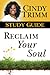 Reclaim Your Soul Study Guide