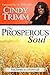 The Prosperous Soul: Your Journey to a Richer Life