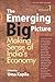 The Emerging Big Picture: Making Sense of India's Economy: A Set of Two Volumes