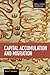 Capital Accumulation and Migration (Studies in Critical Social Sciences)