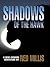 Shadows of the Hawk (Deke Gannon Adventures Book 4)