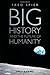 Big History and the Future of Humanity
