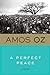 A Perfect Peace by Amos Oz