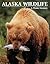 Alaska wildlife: A photo memory