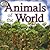 Animals of the World by Katie John Sharp
